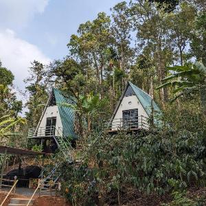 Coorgology-The estate stay(Homestay)