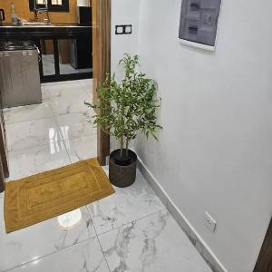 Studio meublé Dakar Sénégal Chambre  salon  toilette et cuisine séparés