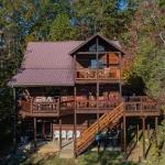 Holiday homes in morganton Georgia