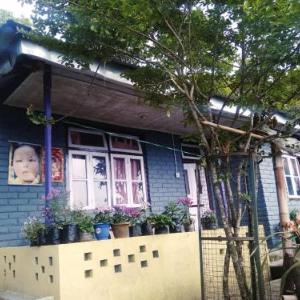 Tragopan Homestay
