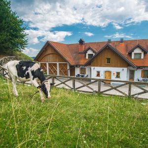 Tourist farm apartments Matijovc