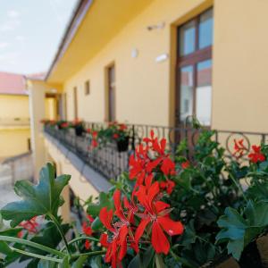 Collegium Varadinum Rooms