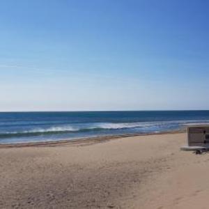 Studio Naturiste 
