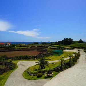 Jeju Amor House