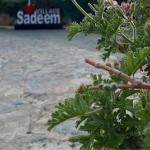 Sadeem Village & Chalet