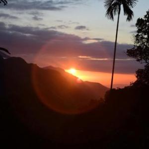 Mango Shadow Inn Ella 800m To Ella city 1 Night OK