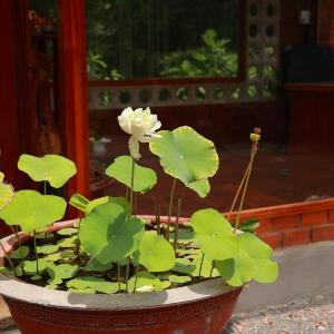 Homestay Nhà Của Gió