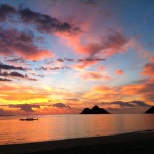 Unique Find Suite in Lanikai Legal Vacation Rental