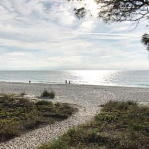 Shell Cove 8 Beach Front Unit