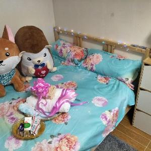 Cozy home in hong kong!!!