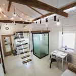 LoFT двухуровневый в центре APT52