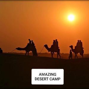 Amazing Desert Camp