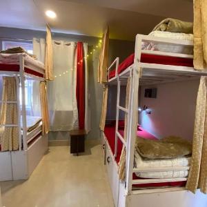 Tag Along Backpackers