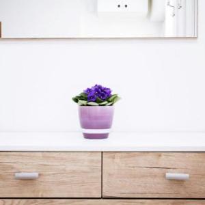 Apartment Anica