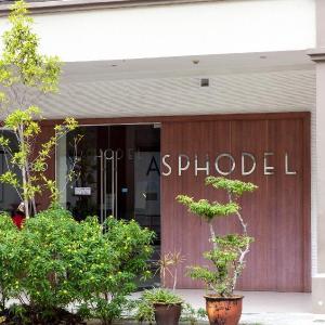 Asphodel Inn hotel in Singapore