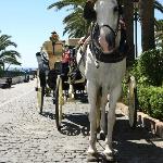 Sea View Apt beachfront Puerto Banus