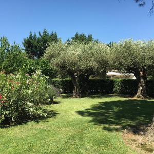 Stunning Provencal Mas in the heart of Provence in between St Remy and Avignon