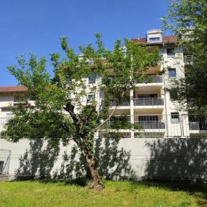 BodenSEE Apartment Friedrichshafen Rotkehlchen 23