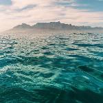 Coral Sands on Muizenberg