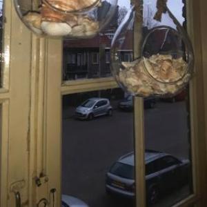 Hotel Velsen