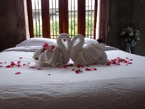Pon-Pon & Nuan-La-Or, Phrae