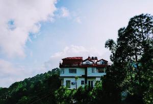 Wood Stock, Kasauli