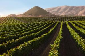Courtyard by Marriott San Luis Obispo, San Luis Obispo