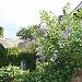 The Brantwood Hotel