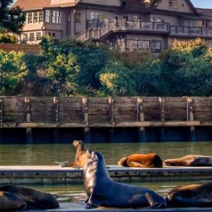 Noyo Harbor Inn