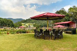 Charekh Food & Forest, Lansdowne