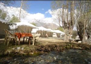 Royal Deluxe Camp - Nubra, Hundar