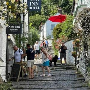 Hotels near Plough Arts Centre Great Torrington - The New Inn Clovelly