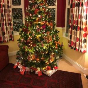 Cambridge House Bed & Breakfast