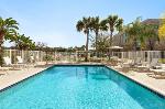 Wilderness Park-Veterans Mmrl Florida Hotels - Staybridge Suites Tampa East- Brandon