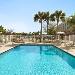 Hotels near Florida Strawberry Festival - Staybridge Suites Tampa East- Brandon