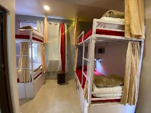 Tag Along Backpackers, Gangtok