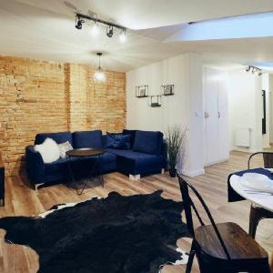 Blue Loft Apartment next to Planty Gardens