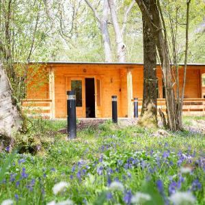 Grey Owl Cabin near Hastings and Rye England UK