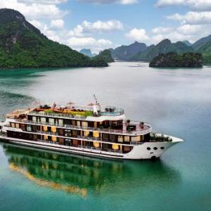 Dora Cruise