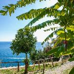 Villas in Amalfi 