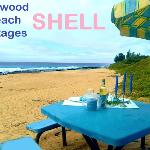 SHELL Cottage on the Beach