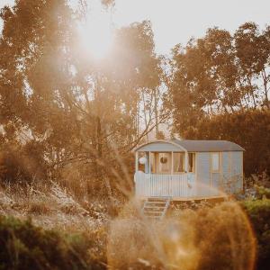 Shepherds hut on organic farm