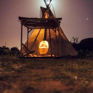 Unique tipi on organic farm surrounded by nature