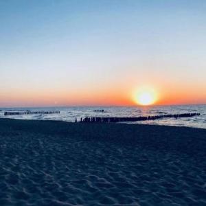 365PAM - DWIE SOSNY Apartamenty przy plaży - SAUNA JACUZZI SIŁOWNIA BAWIALNIA
