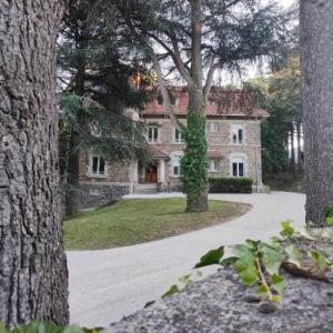 La villa des prés chambre Cèdre