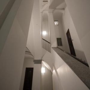 Rapanus Suites