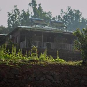 Jungle Valley Resort