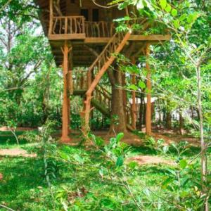 Lotus Eco Villa