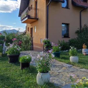 Zlatibor Vila