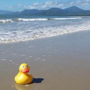 By The Sea Port Douglas
